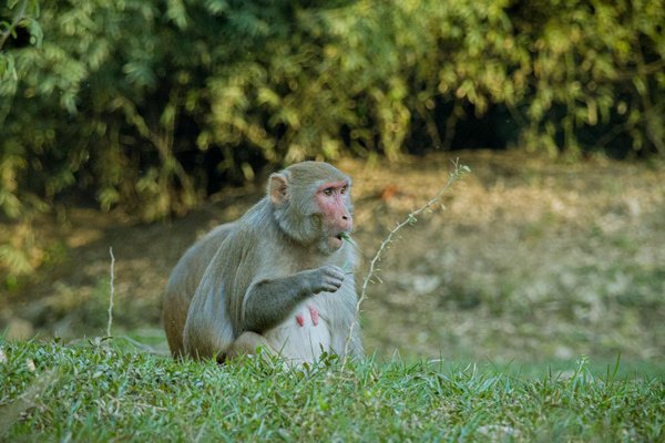 La combattre le blanchiment d'argent : une étape cruciale dans la prévention de la criminalité