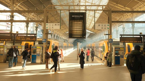 Concerts et Développement Durable : Défis et Solutions Innovantes